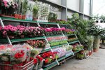 Flora-Dizayn (Angarsky Village, Prodolnaya Street, 58), wholesale store