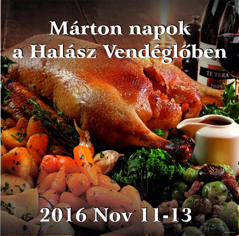 Фото Halász Airport Panzio