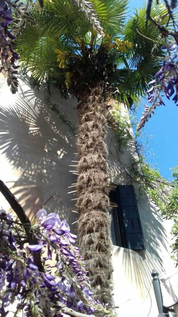 Фото Hotel Messner