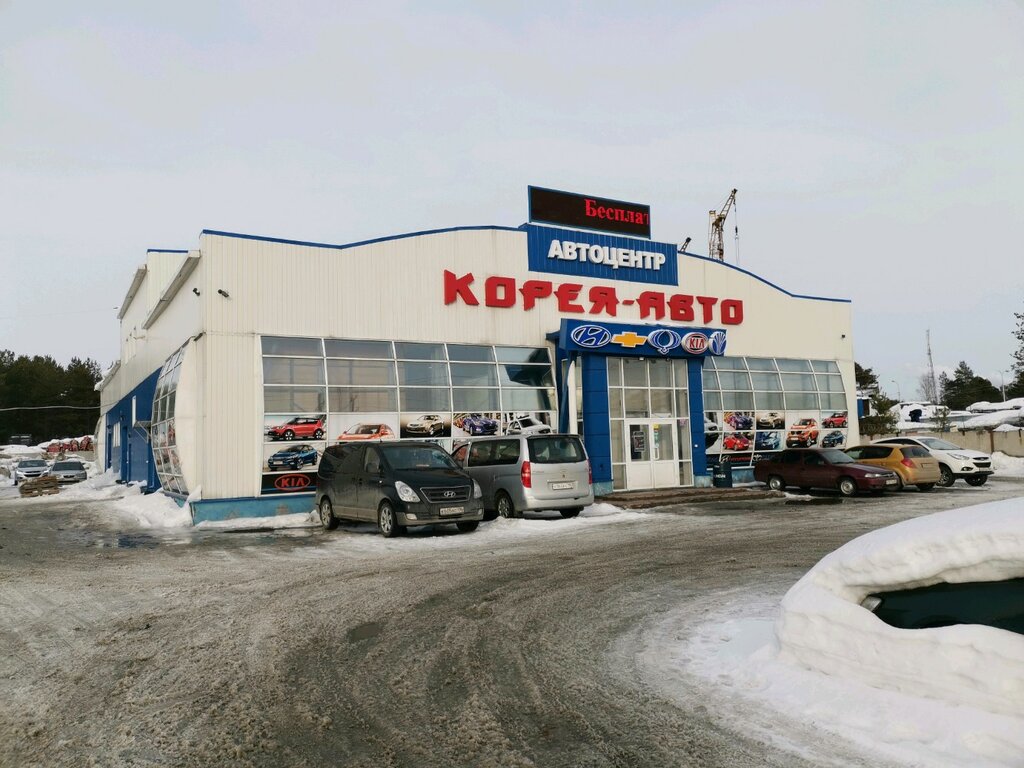 Магазин автозапчастей и автотоваров Корея-Авто, Сургут, фото