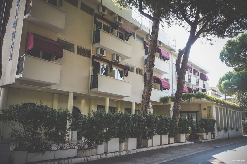 Фото Hotel New Primula