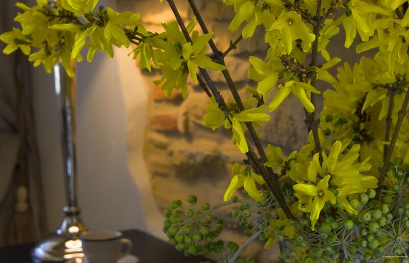 Фото Pamperduto Country Resort