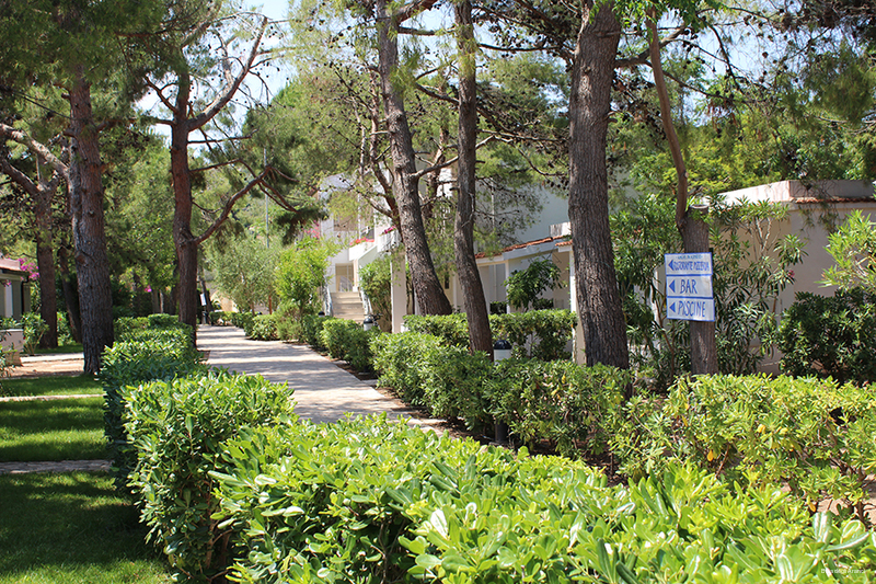 Фото Baia degli Aranci