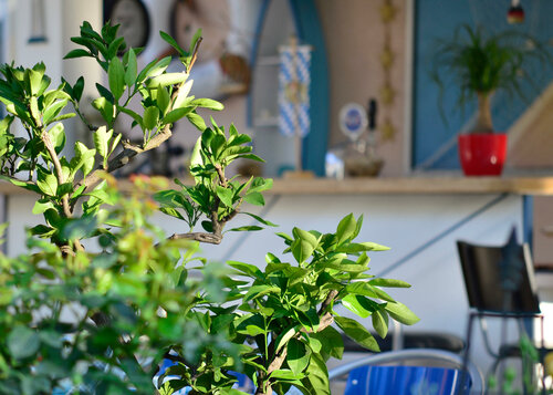 Гостиница Happy House das fröhliche Urlaubszuhause в Каринтии