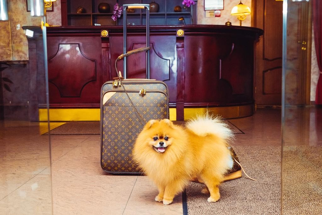 Фото АлександерПлатц