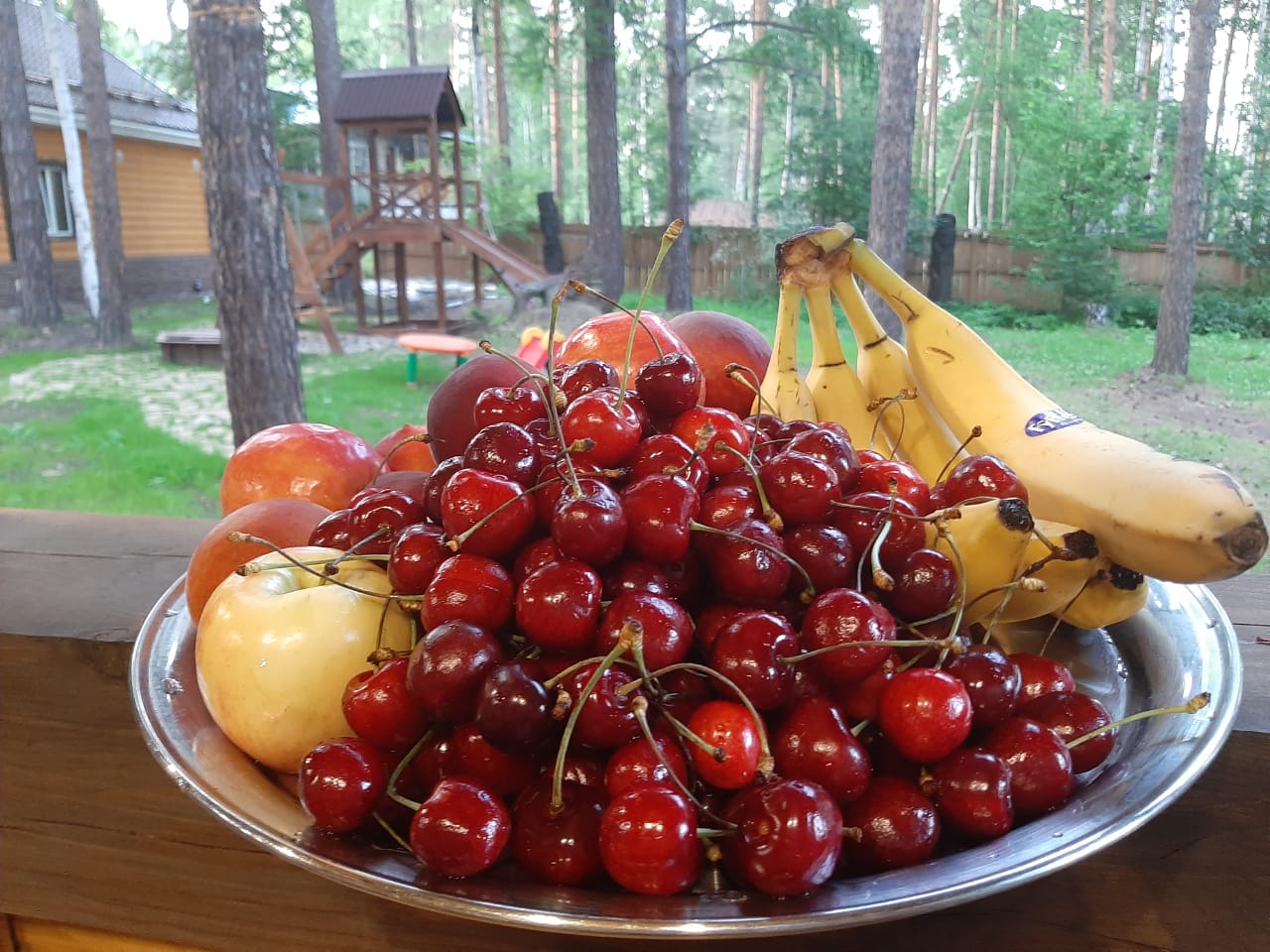 Фото Сосны-Лес