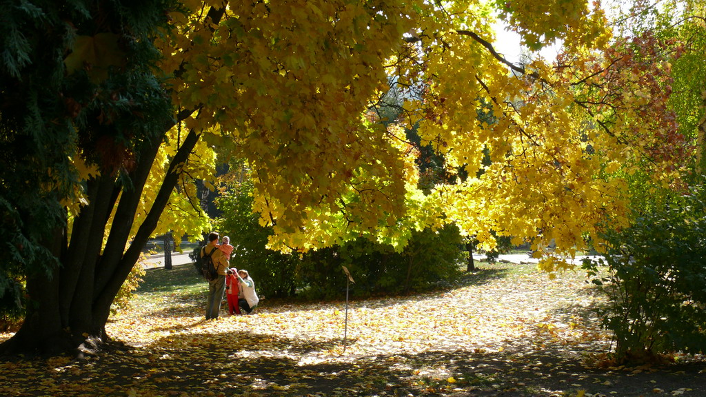 Фото Клинический санаторий им. Горького