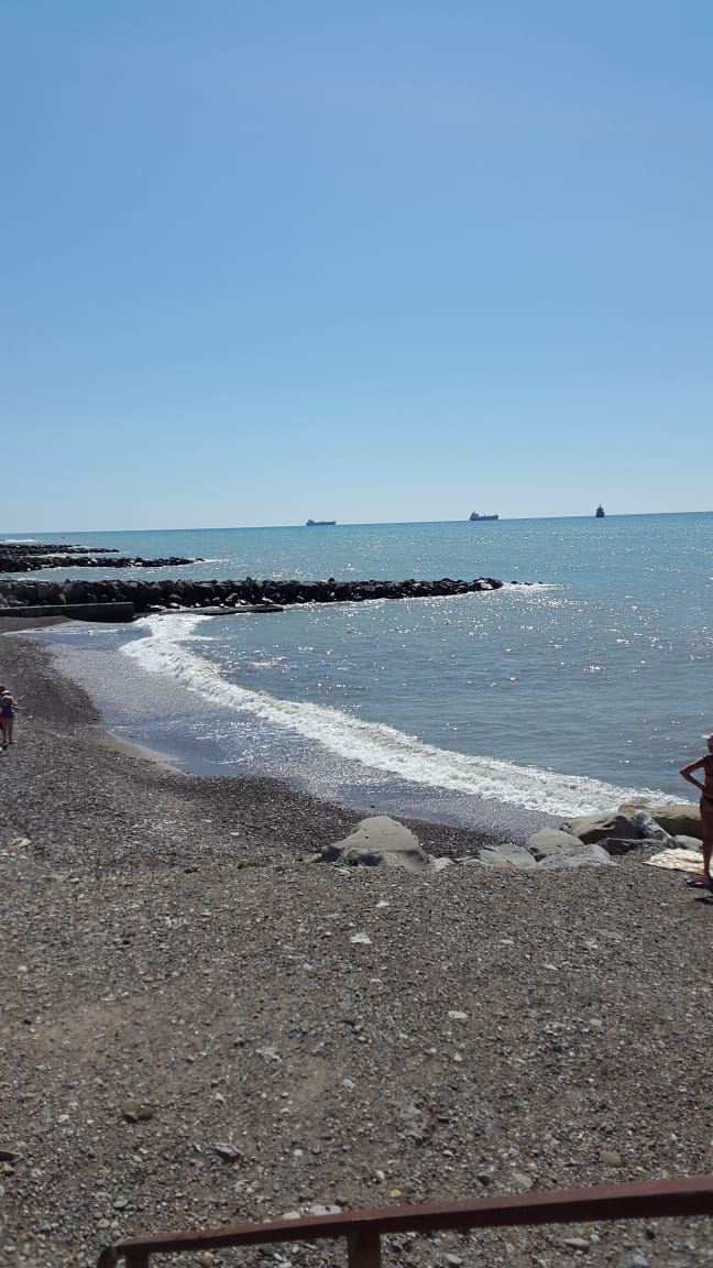 Фото Галина-чайка