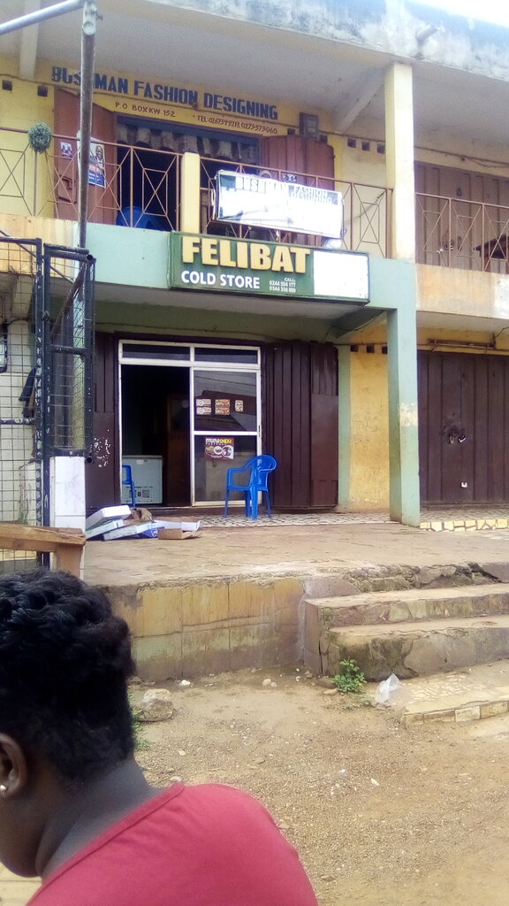 Cold storage facility Felibat Cold Store, Kumasi, photo