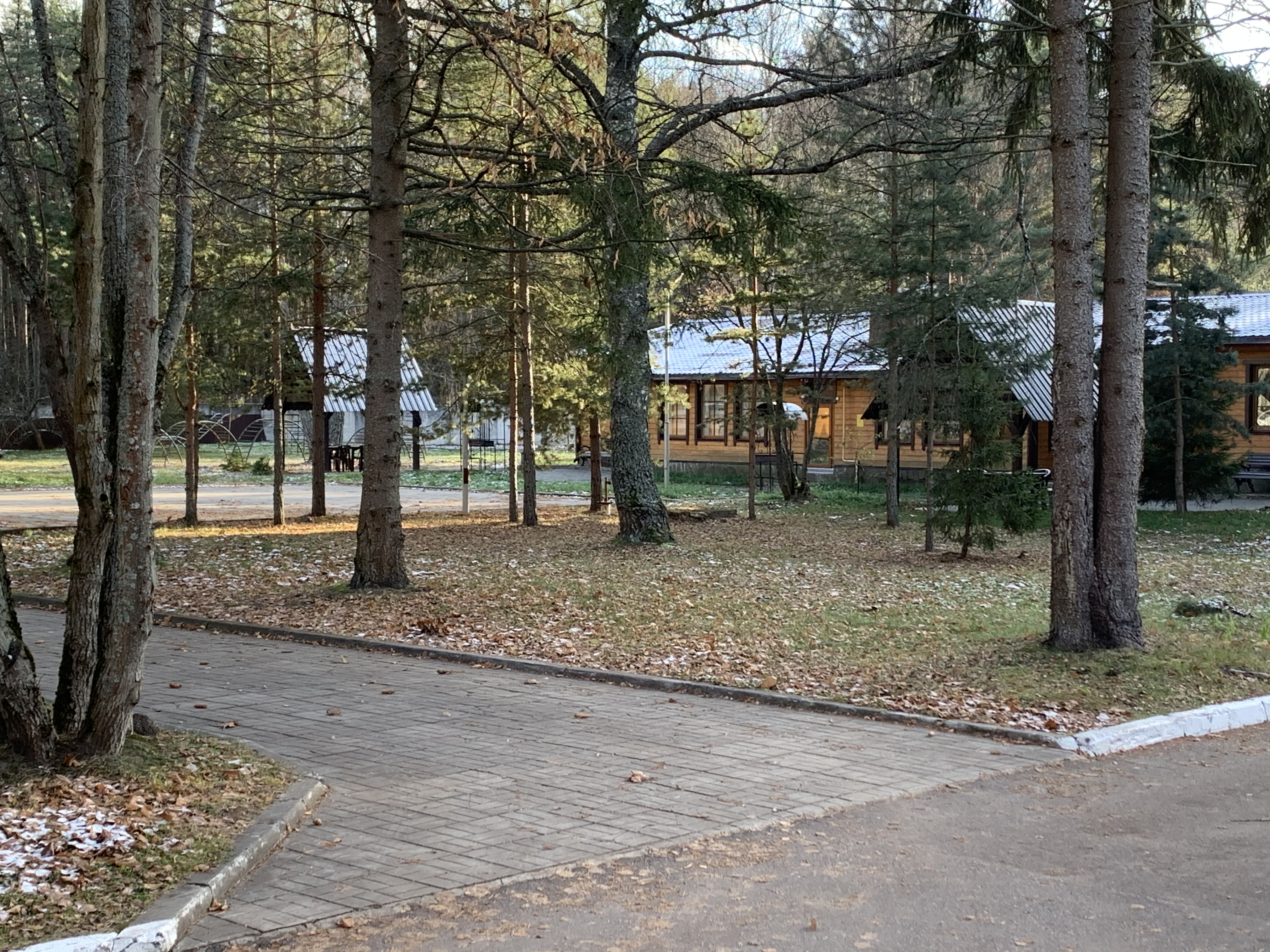 Фото Лесные пруды