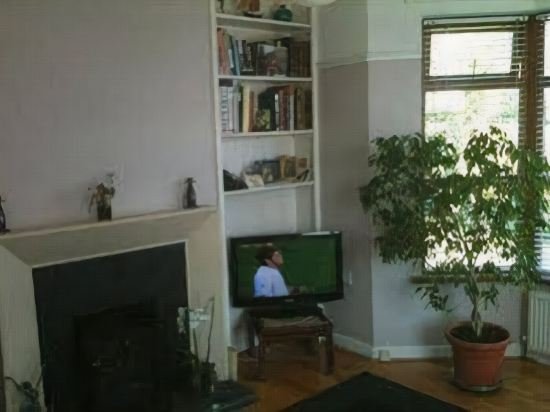 Фото The Oystercatcher