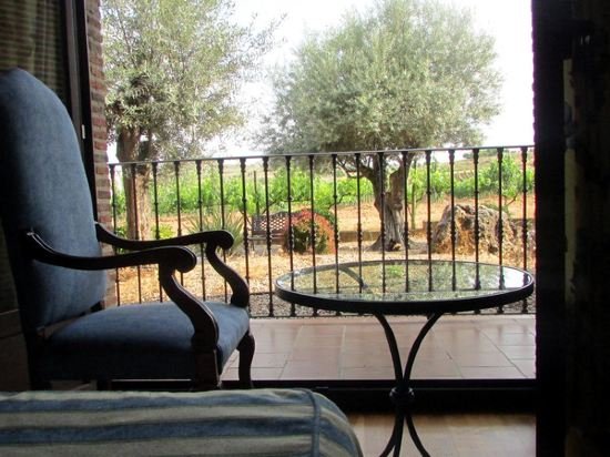 Фото Hotel SPA Tudanca Aranda