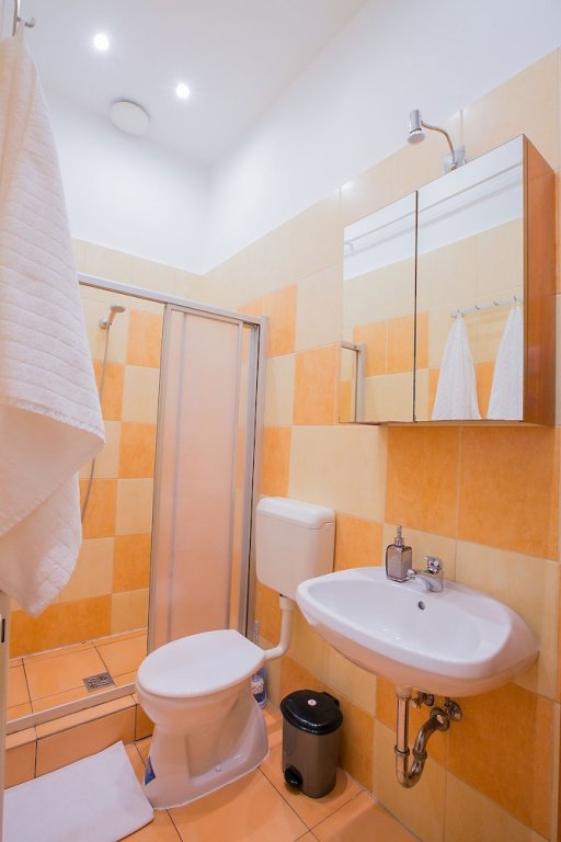 Фото Friends Hostel and Apartments Budapest