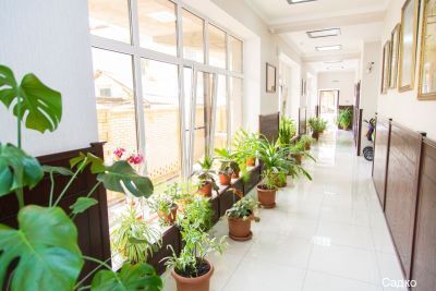 Фото Садко на Шевченко 79