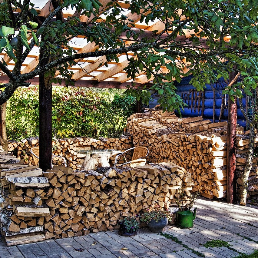 Фото Лавандовый сад