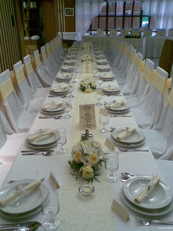 Фото Hotel Amadeus