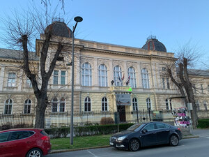 Museum of Vojvodina (Novi Sad, Дунавска улица, 35), museum