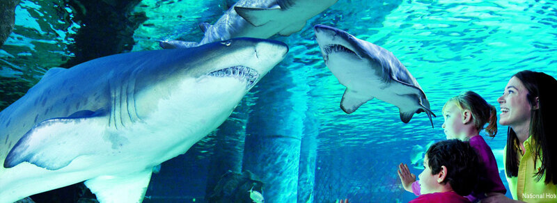 Фото National Hotel