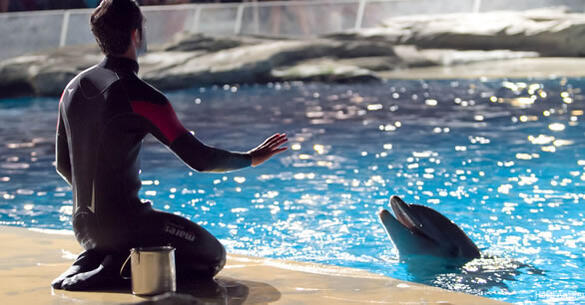 Фото Hotel Antibes