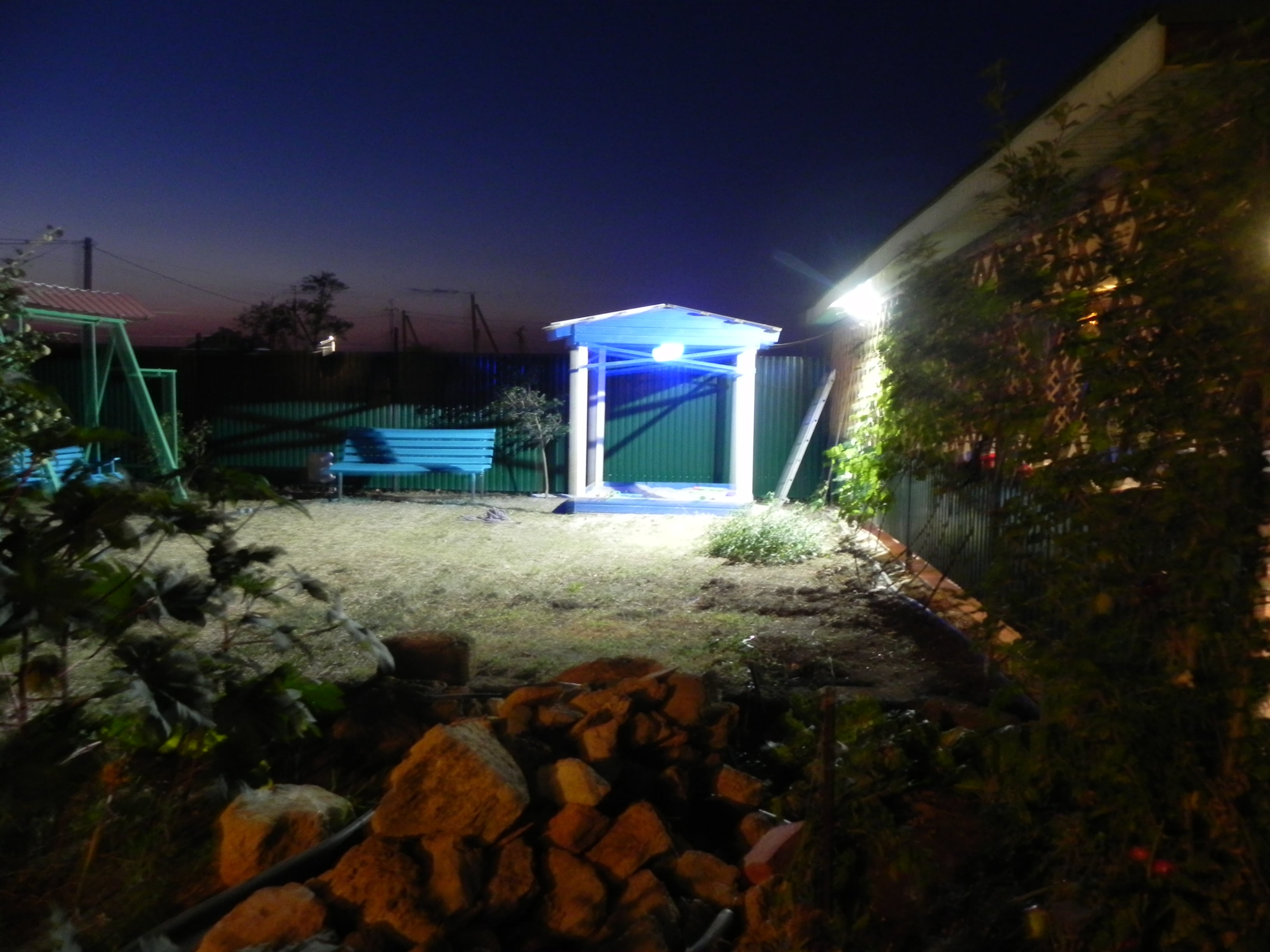 Фото Фанни Вероника