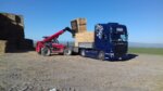 Fiorio Autotrasporti (Piedmont, Provincia di Torino, Stradale Mathi, 36), moving company