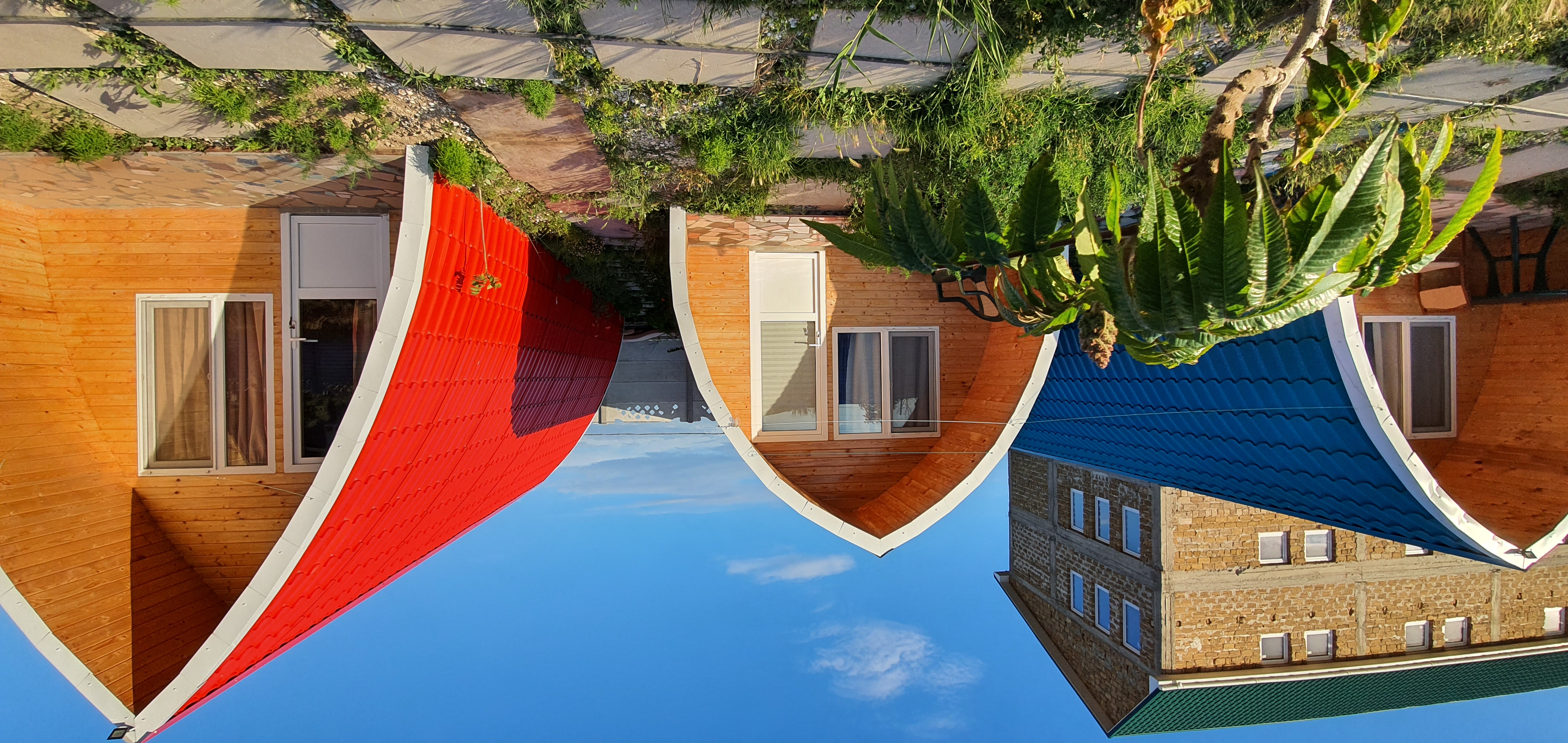 Фото Акварель