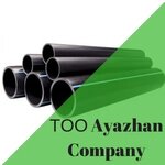 Ayazhan Company (Rysqulov dańǵyly, 69) ، مشاريع صناعية