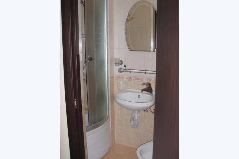 Фото Платан