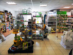 Zanzibar (Chkalova Street, 7), pet shop