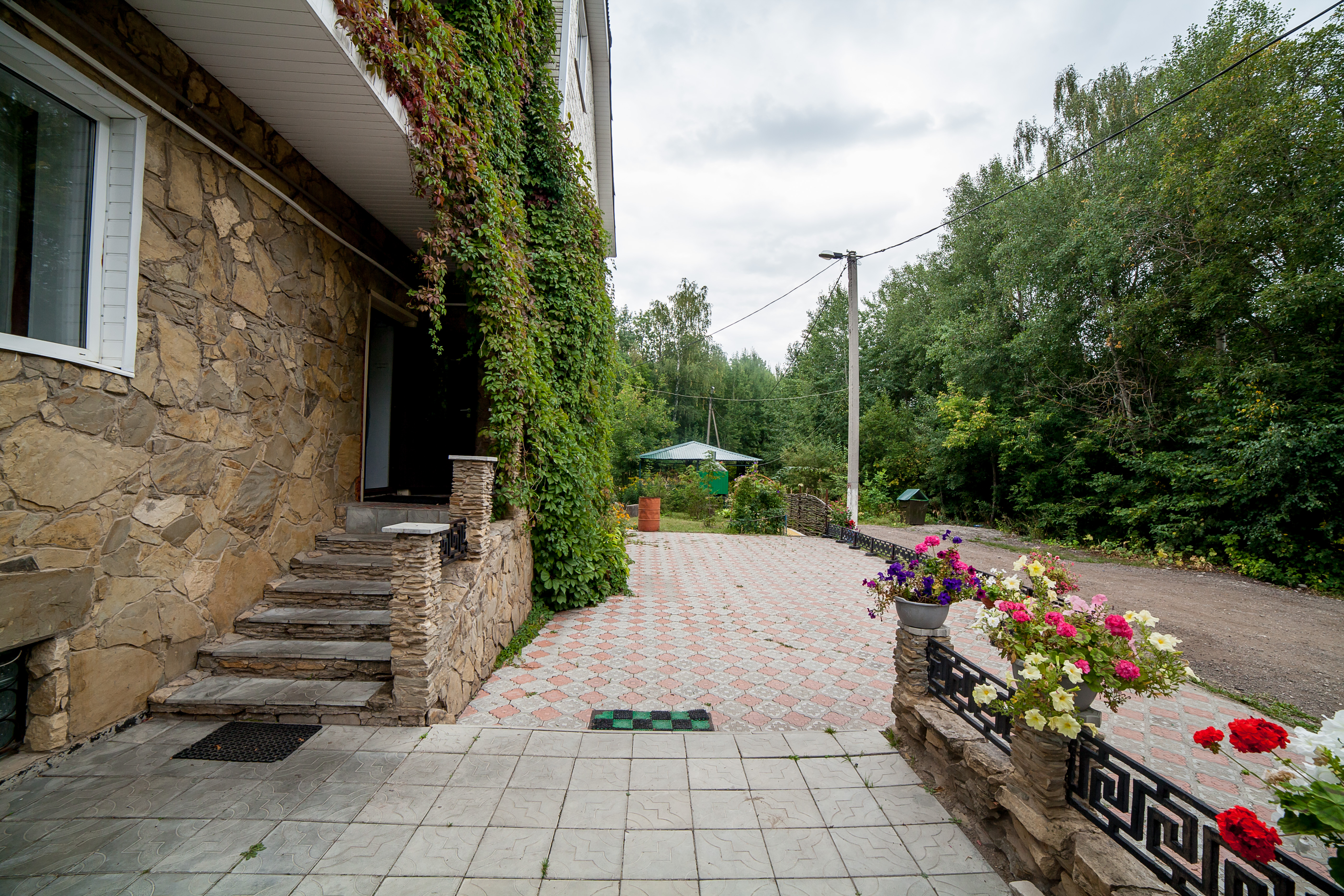 Фото Дубрава