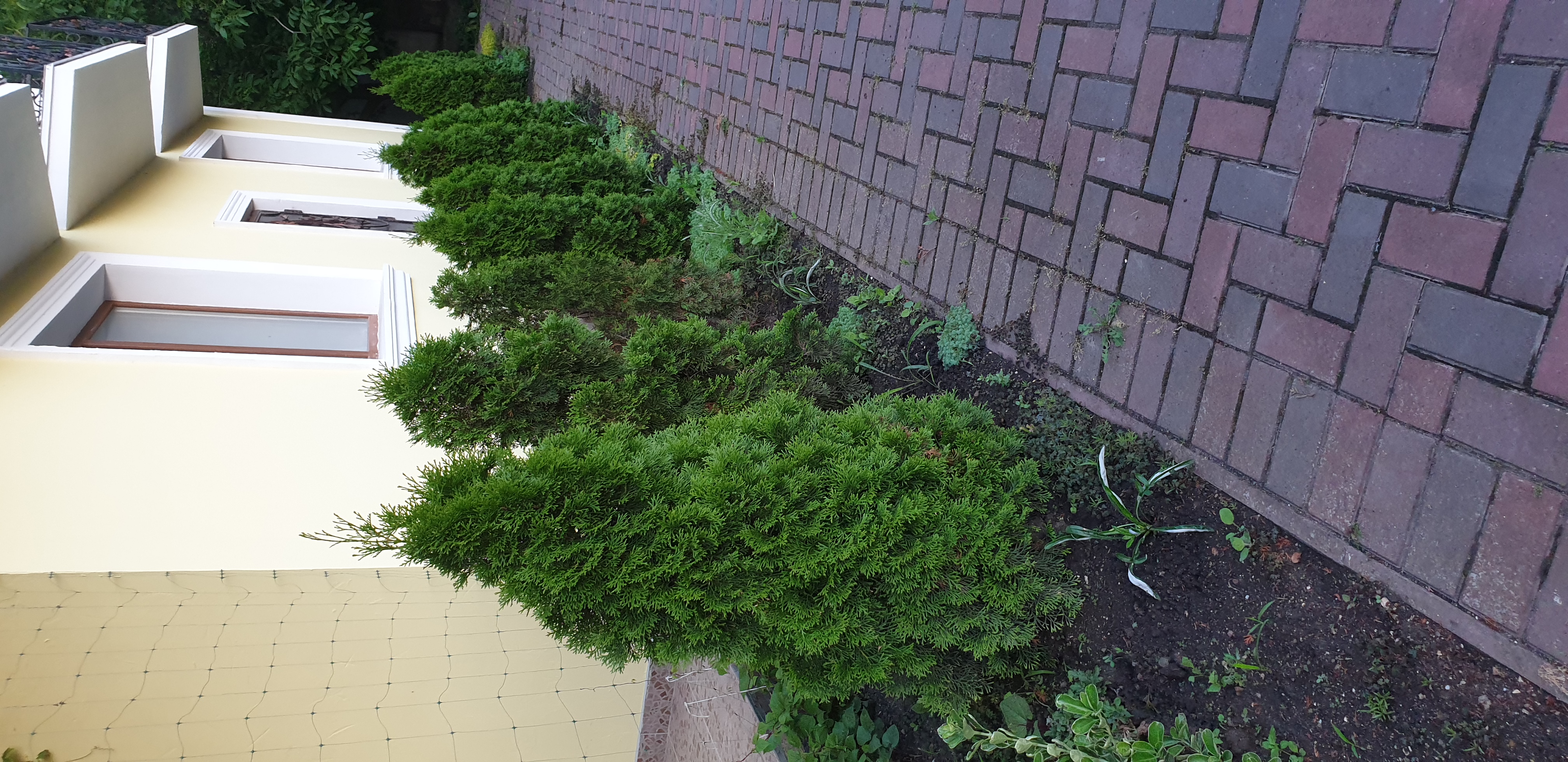 Фото Русская усадьба