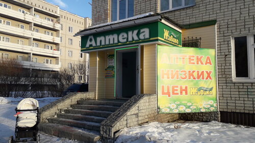 Pharmacy Zhivika, Sverdlovsk Oblast, photo