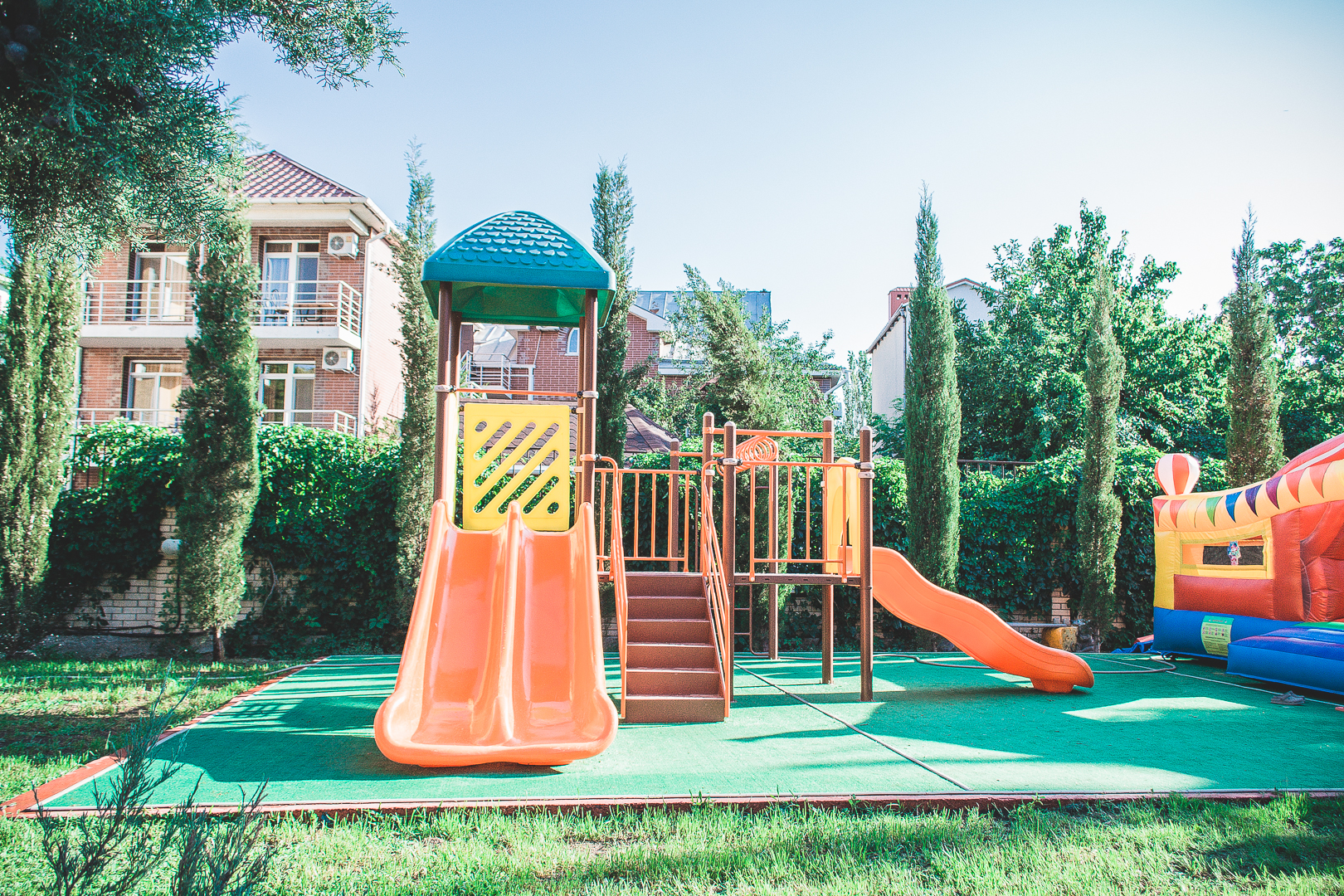 Фото Морской конек