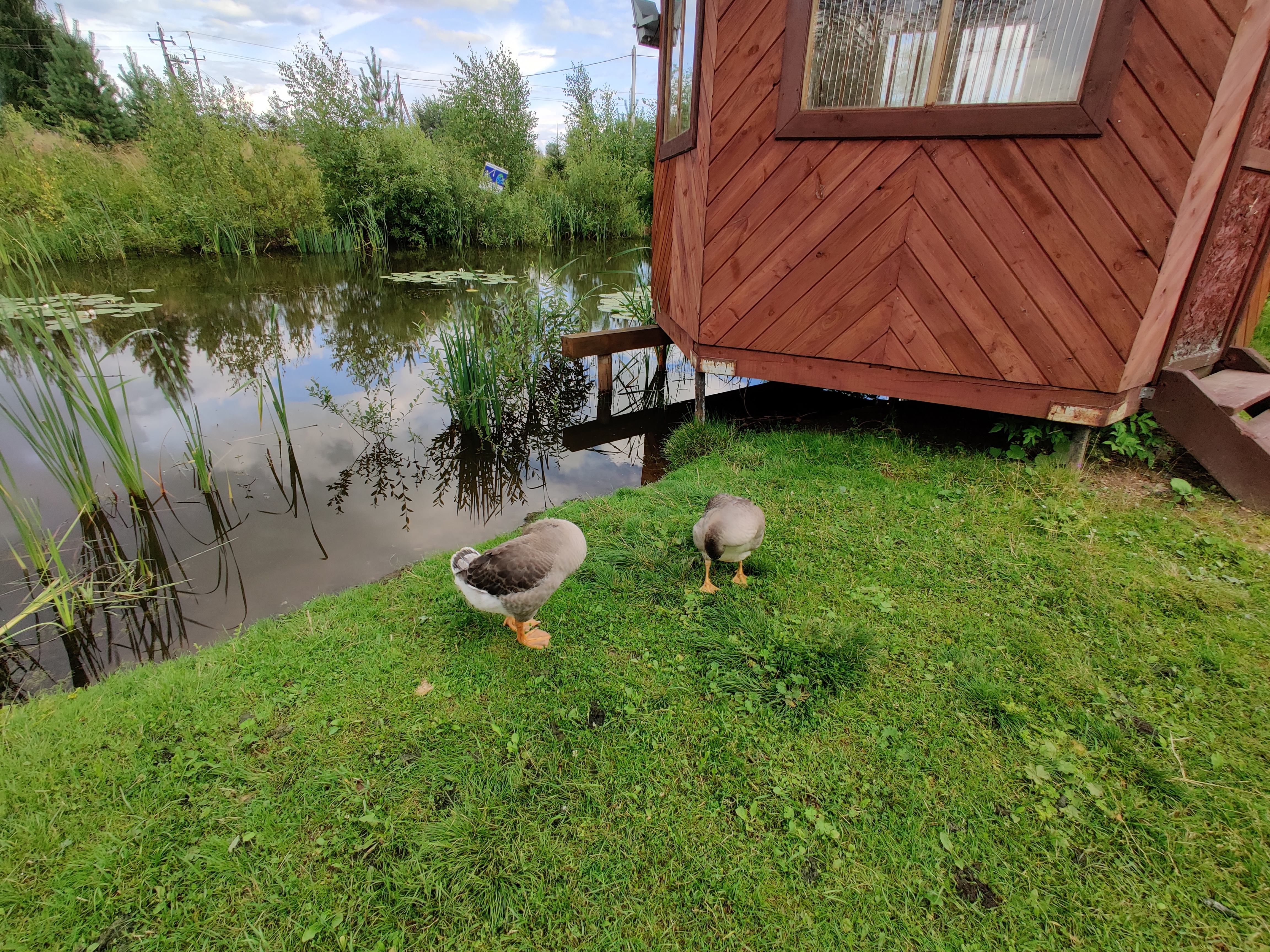 Фото Чудной двор