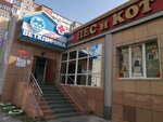 Пес и кот (Ostrovskogo Street, 26/2), pet shop