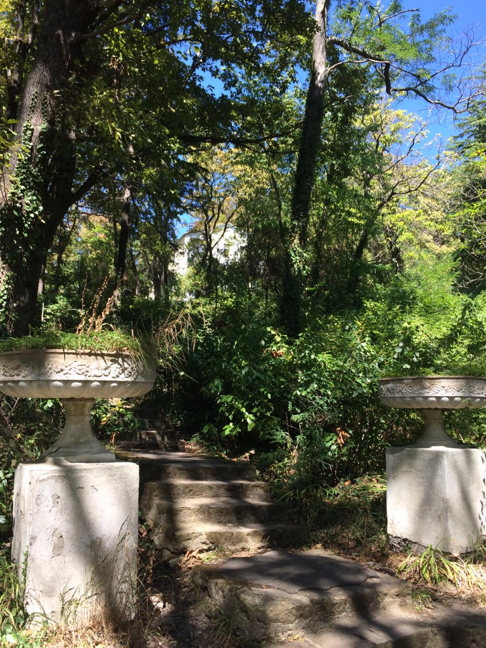 Фото Галина-чайка