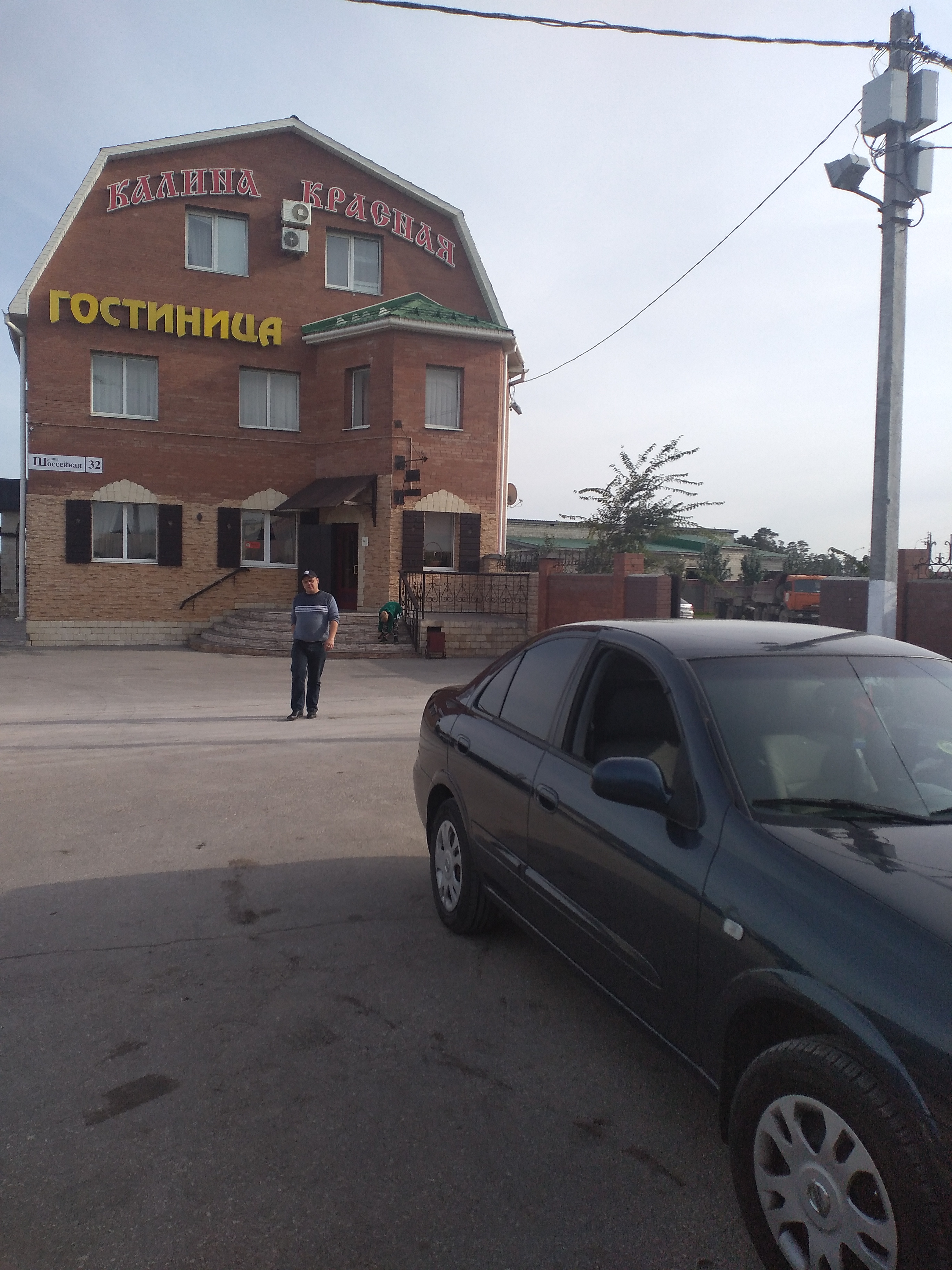 Фото Калина красная