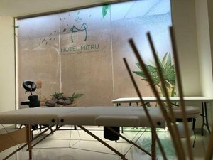 Гостиница Hotel Mitru Sur