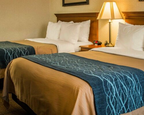 Гостиница Comfort Inn & Suites Diamondale – Lansing в Лансинге