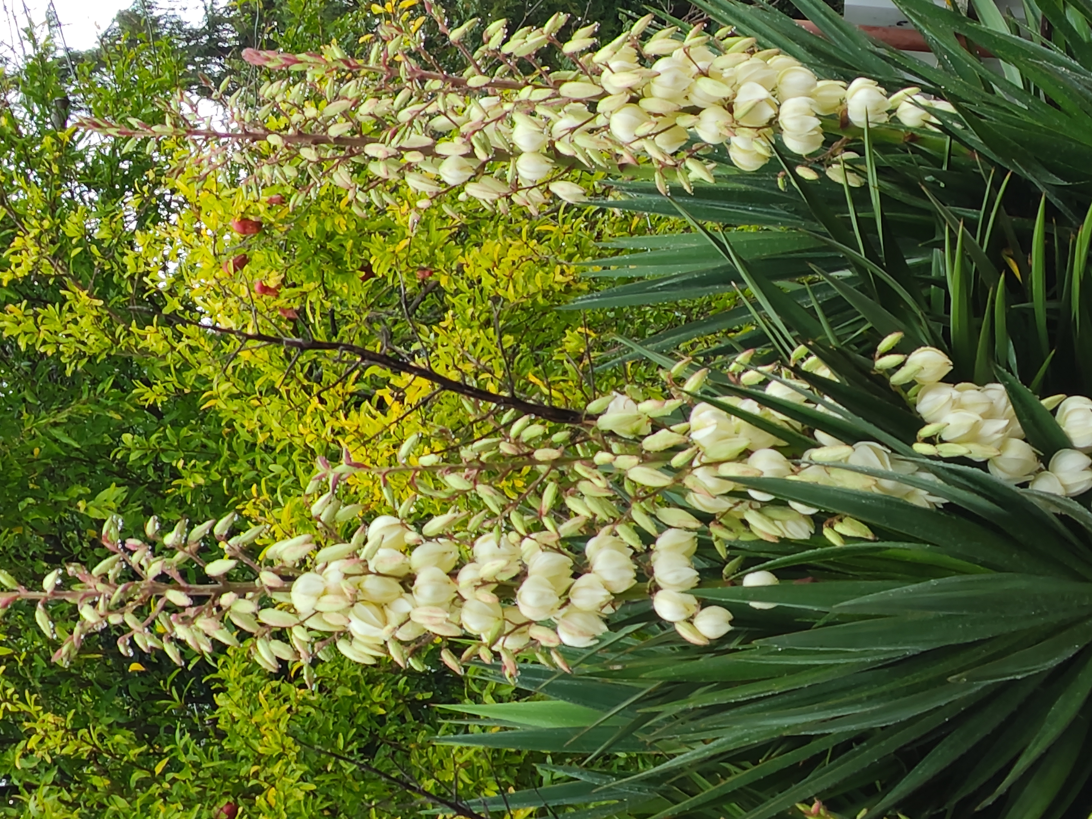 Фото Ретритный дом Гаури