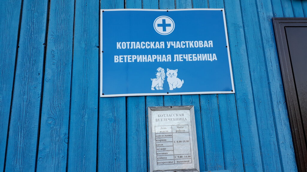 Veterinary clinic Kotlasskaya rayonnaya stantsiya po borbe s boleznyami zhivotnykh, Kotlas, photo
