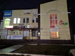 Гюрза (ploshchad Lenina, 2А), security company