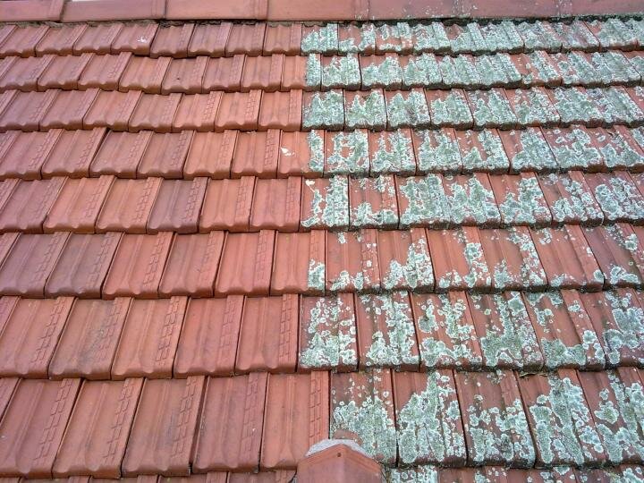 Servicio de limpieza Cleaning and painting of slate and tile roofs, , foto