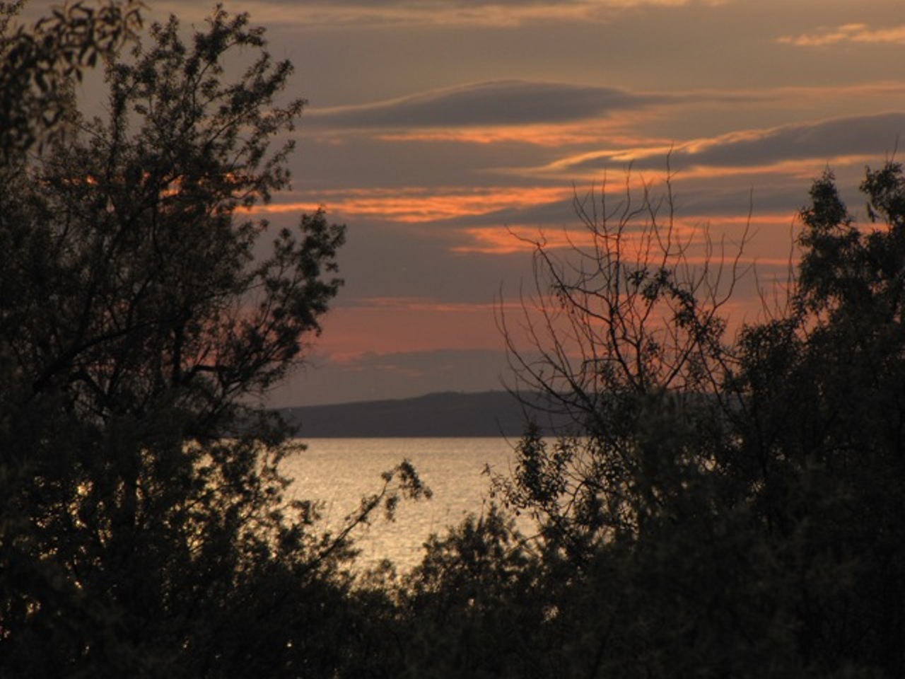 Фото Алмарис