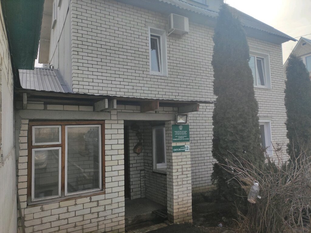 Silvicultura, silvicultura Gosudarstvenny prirodny zapovednik Privolzhskaya lesostep, , foto
