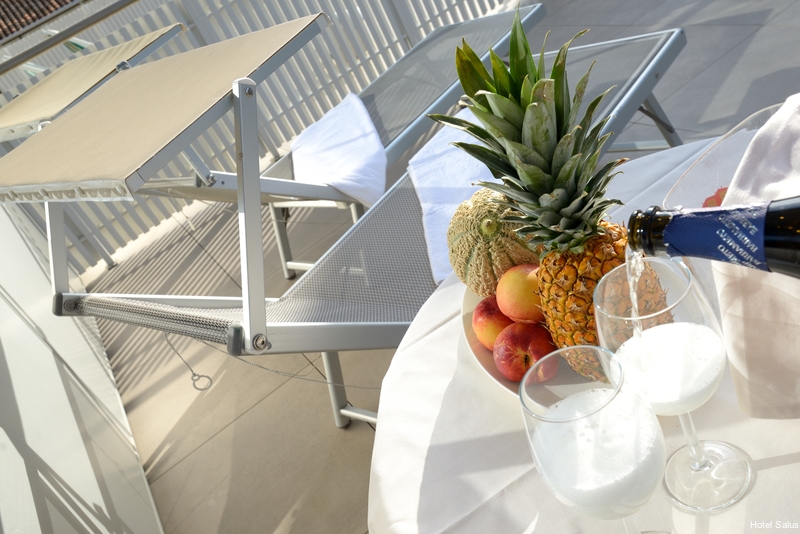 Фото Hotel Salus