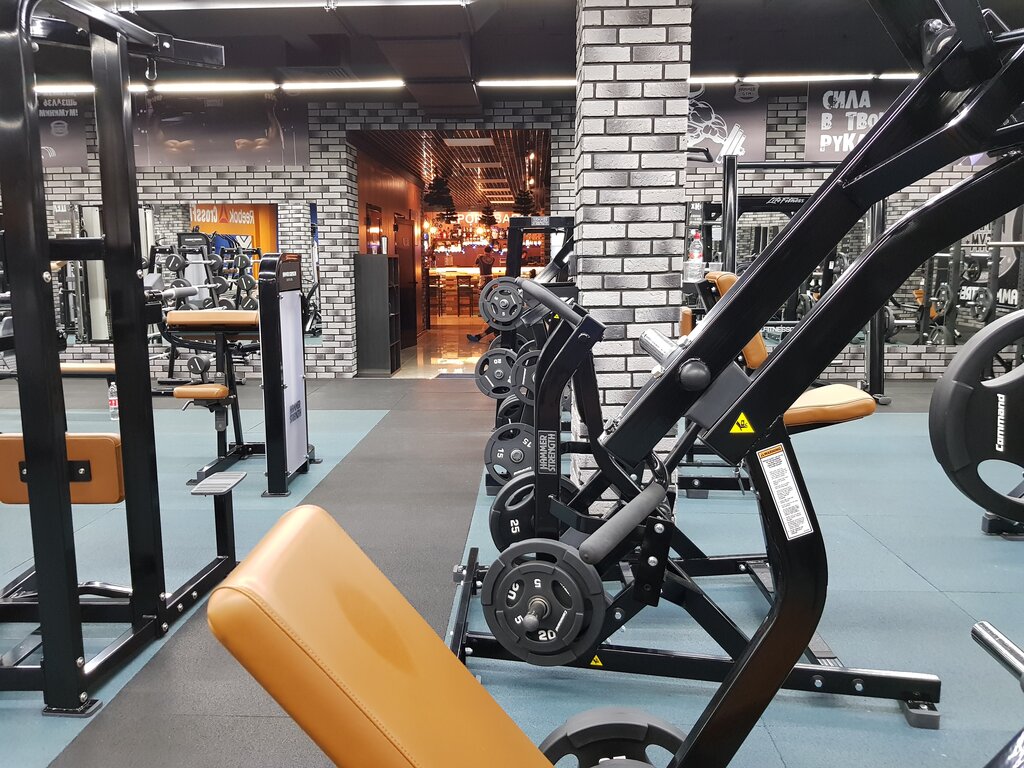 Hammer Gym, фитнесклуб, просп. Ленина, 154, Черкесск — Яндекс Карты