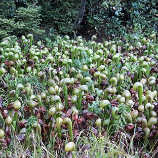 Фото Little Creek Cove Beachfront Resort