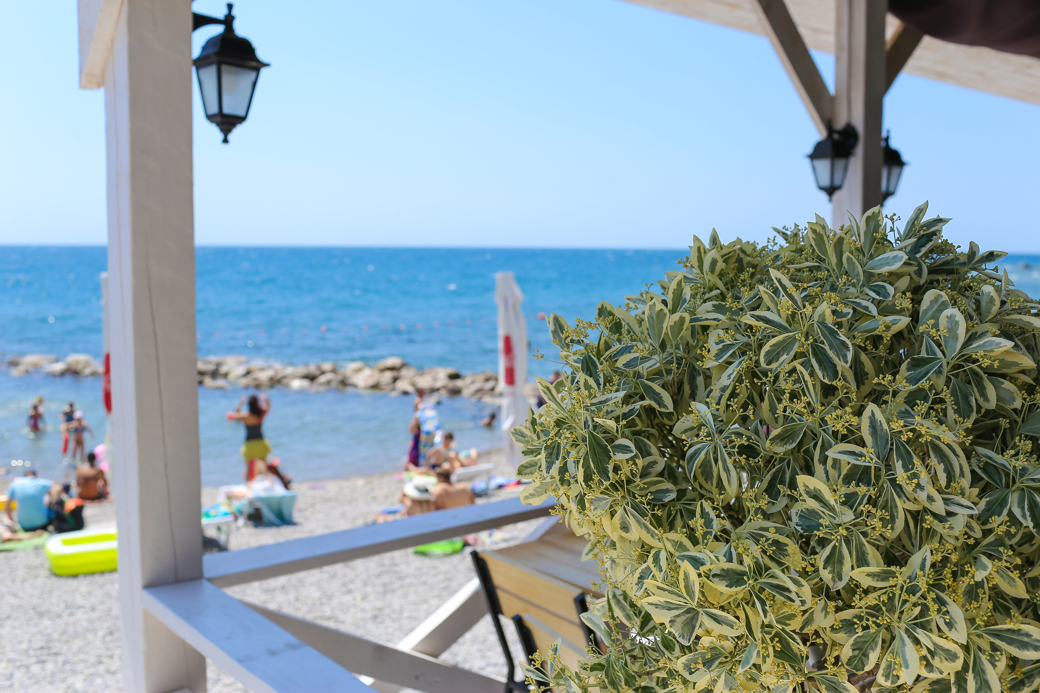 Фото Лиго Морская