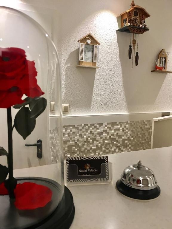 Фото Набат Палас